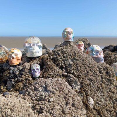 crane vibratoir medium kelly lepage