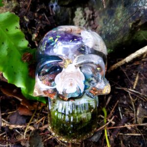 crâne exclesia guide kelly lepage medium